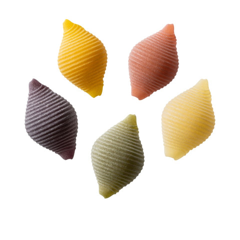 5-Color Conchiglie Pasta with Turmeric, Spinach, Beetroot and Black Carrot