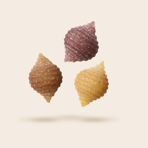 Mini Shell Pasra Fruit Pasta Mini Shells | Pasta for Kids | Dalla Costa – Pasta Dalla Costa