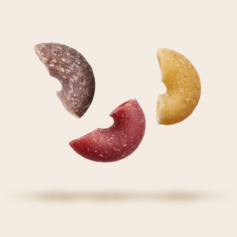 Fruit Pasta Elbow Gomitini